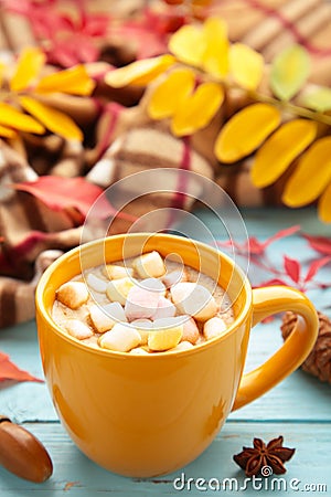 Hot chocolate and autumn leaves on plaid - seasonal relax concept Stock Photo