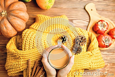 Hot cocoa in hands, pine cones and cinnamon sticks on knitted sweater. Stock Photo