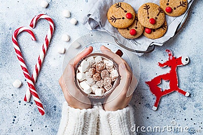 Hot cocoa with marshmallow in in woman hand. Christmas gingerbread, decorated red nosed reindeer cookies. Stock Photo
