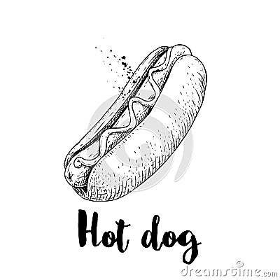 Hot dog sketch hand drawn. Fast food retro illustration. Fresh bun with grilled sausage and mustard or ketchup. Great for menu des Vector Illustration