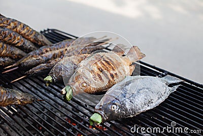 Hot grill fishes such as Catfishes and Nile tilapias on the mesh Stock Photo