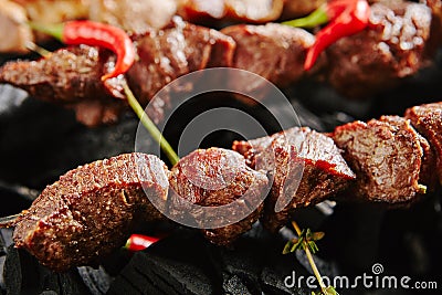 Hot Grilled Beef Kebab or Barbecue Shashlik on Charcoal Background with Herbs and Spices Closup Stock Photo