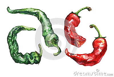 Hot pepper. Hand drawn watercolor painting Stock Photo