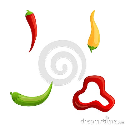 Hot pepper icons set cartoon vector. Colorful chili pepper Vector Illustration