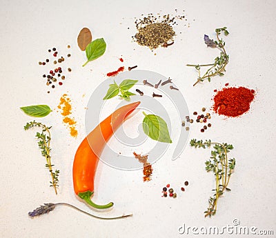 Hot pepper, orange rings, thyme, basil, paprika, turmeric and other spices Stock Photo