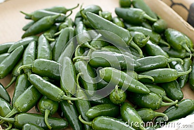 Hot peppers Stock Photo