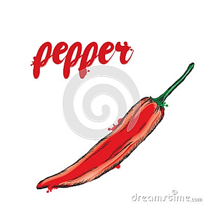 Hot peppers. Red pepper. Vegetables vector. Vector Illustration