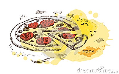 Hot Pizza on the background of watercolor stains. Vector. Vector Illustration