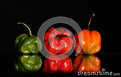 Hot red chilli pepper Stock Photo