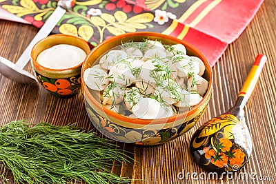 Hot Russian dumplings Stock Photo