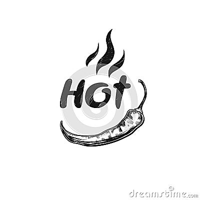Hot. Spicy icon with chilli Vector Illustration