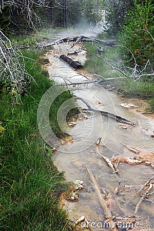 Hot Spring Runoff Stock Photo