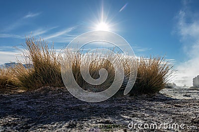 Aguas termales de Polques, hot springs with a pool of steaming natural thermal water in Bolivia Stock Photo