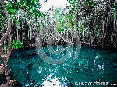 Hot Springs Tanzania Stock Photo