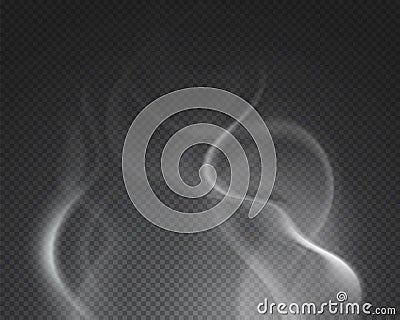 Hot steam. Isolated foggy smoke cloud. Burning drink food vapor on transparent background. Spooky fog, water mist waves Vector Illustration