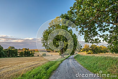 Summer landscape Vysocina Czech Republic Stock Photo