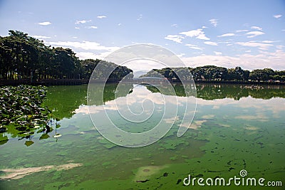 There is no wind, no dark clouds, bright light, lake water, green trees and arch bridges, which constitute a beautiful landscape o Stock Photo