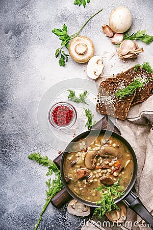 Hot thick mushroom soup with beef, spices and wholegrain barley, meat broth. With black bread, in metal pan, top view, flat lay, Stock Photo