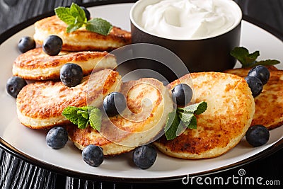 Hot traditional syrniki with blueberries, mint and sour cream closeup in a plate. horizontal Stock Photo