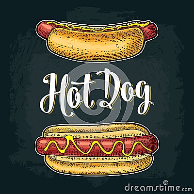 Hotdog with tomato, mustard, leave lettuce. Vector color engraving Vector Illustration