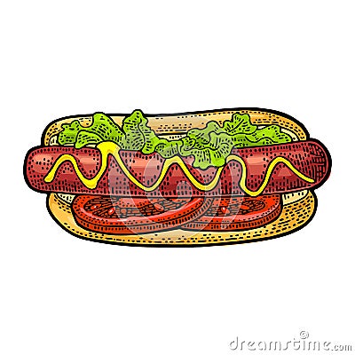 Hotdog with tomato, mustard, leave lettuce. Vector color engraving Vector Illustration