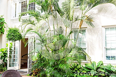 Hotel facade with palms and plants. Stock Photo