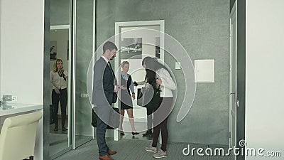 Airport Worker Checks a Businesswoman with Hand Scanner in the Airport  Stock Footage - Video of business, office: 99505826