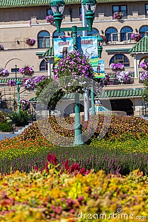 Hotel Hershey Fall Flowers Editorial Stock Photo