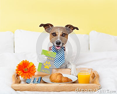 Hotel room service wtih dog Stock Photo