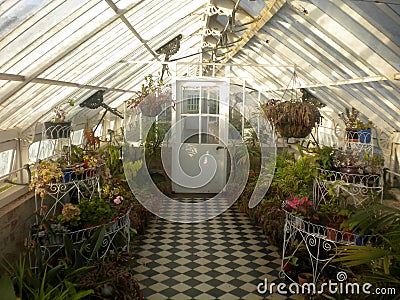 The hothouse at historic Werribee Mansion, Melbourne, Australia. Stock Photo