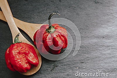 Hottest pepper in the world. Trinidad Scorpion Butch, thousands of times more spicy than Habanero. On black slate background, with Stock Photo