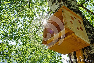 House birdhouse tree forest bird. trunk Stock Photo