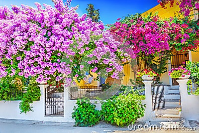 House with bougainvillea Stock Photo