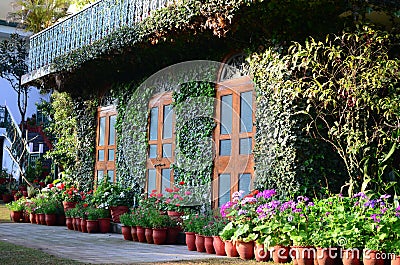 House covered with plants and flowers Stock Photo