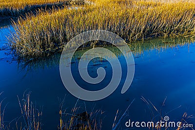 House Creek and Salt Grass of Cherry Grove Marsh Stock Photo