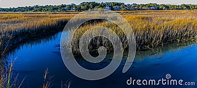 House Creek and Salt Grass of Cherry Grove Marsh Stock Photo