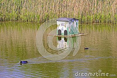 House for ducks Stock Photo