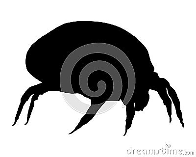 House dust mite Vector Illustration