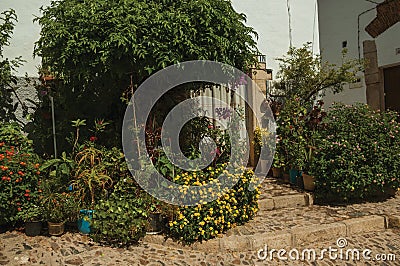 House facade with white walls, stairs, flower pots and plants at Caceres Stock Photo