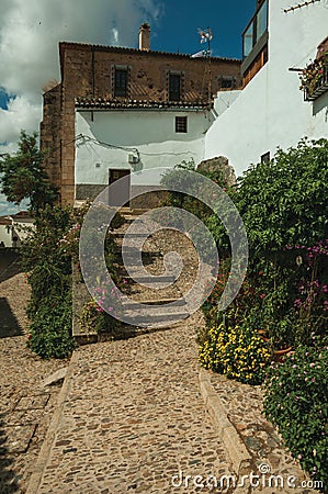 House facade with white walls, stairs, flower pots and plants at Caceres Stock Photo
