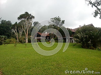 House in forest village and love moment Stock Photo