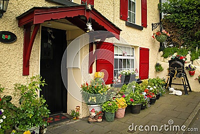 House with front garden. Inistioge. Ireland Stock Photo