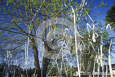 House and front yard wrapped in toilet paper Stock Photo