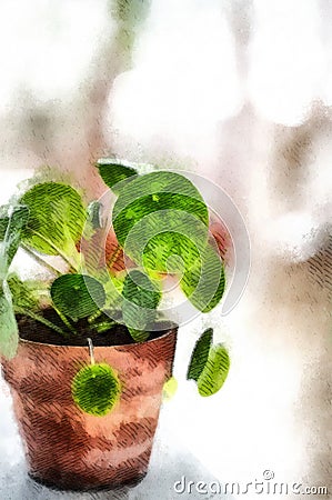 House green Plant potted isolated watercolor painting wallpaper Stock Photo