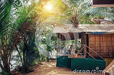 House or hut made of palm leaves in the middle of jungle on hot tropical day. Modest dwelling in a palm grove on the bank of the Stock Photo