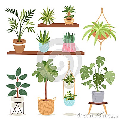 House indoor plants and nature flowers interior decoration houseplant natural tree flowerpot vector illustration. Vector Illustration