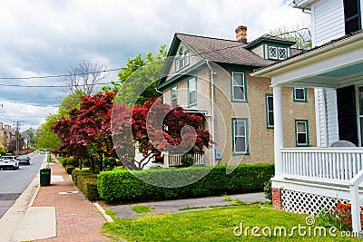 House with Japanese maple Editorial Stock Photo