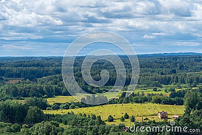 House located in the middle of a forest Stock Photo