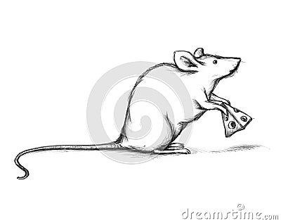 House mouse with cheese Stock Photo