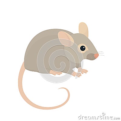 House Mouse Vector Illustration